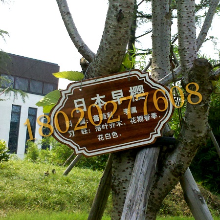 供应苗圃花园植物吊牌,花卉标牌吊牌制作