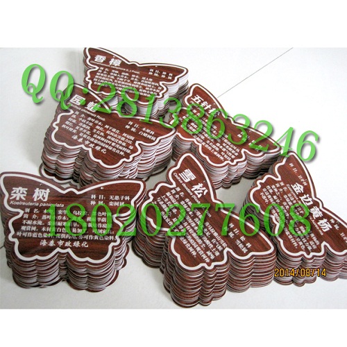 供应学校树木挂牌,学校植物标牌个性制作