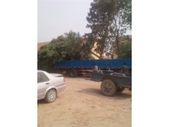 供应2cm-18cm的白蜡