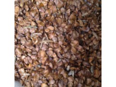 供应柏木种子 批发造林种子