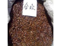 供应合欢种子