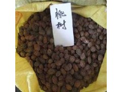 毛桃种子