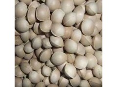 银杏种子,白果种子