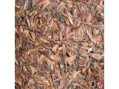 黄花梨种子价格