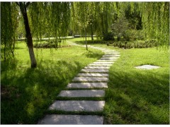 临沂公园绿化||沂水广场绿化||沂水小区绿化公司||村庄绿化