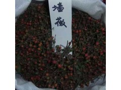 舒晗园林供应蔷薇种子