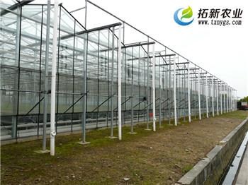 温室大棚工程*温室大棚工程供应商*温室大棚工程队*拓新供