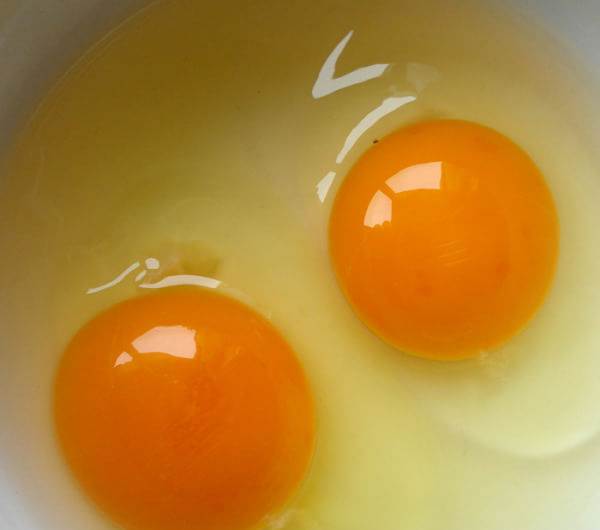 福州正宗土鸡蛋供应商,福州正宗土鸡蛋代理,康源供